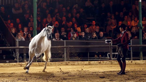 Espectáculo ecuestre en las Caballerizas Reales