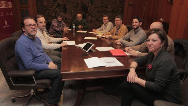 Imagen de la reunión mantenida en la comisión de seguimiento del Metrotrén
