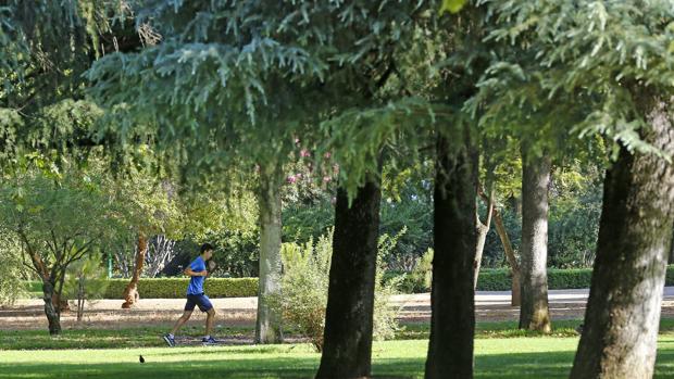 Un joven corre por el parque Cruz Conde