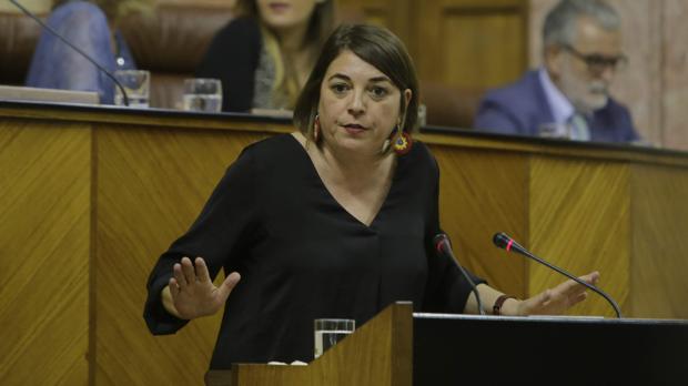 Elena Cortés, portavoz adjunta de IU en el Parlamento