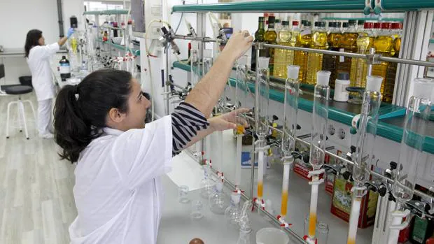 Una trabajadora de los laboratorios de calidad de la factoría de Deoleo en Alcolea