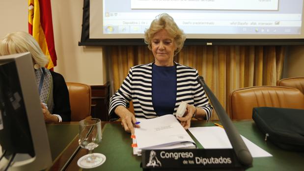 Soledad Becerril en el Congreso de los Diputados