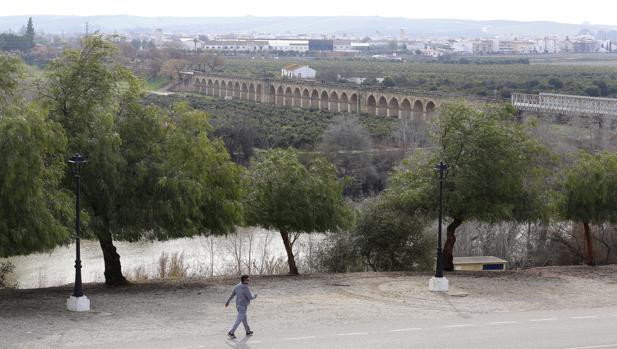 Un hombre pasea junto a la ribera en Palma del Río