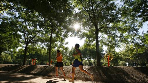 Varios deportistas corren en el parque Cruz Conde