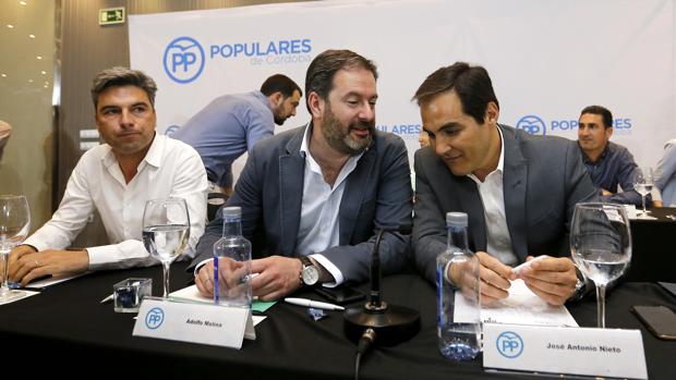 Lorite, Molina y Nieto, en la junta directiva