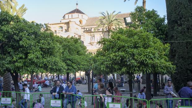 Público en el Patio de los Naranjos en Semana Santa