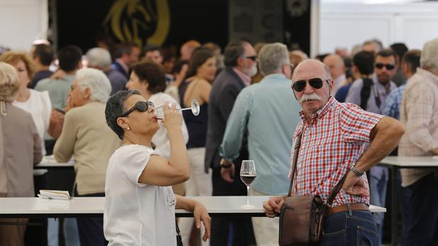 Asistentes a la Cata del Vino de Córdoba Montilla-Moriles 2017.