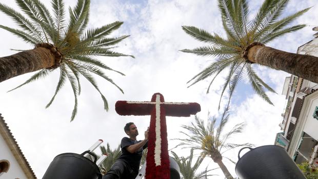 Preparativos de la Cruz de Mayo en la plaza de la Lagunilla