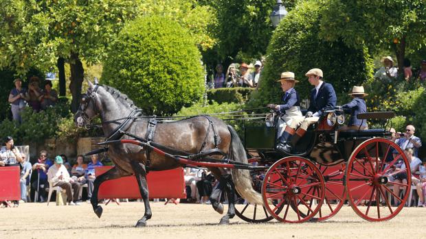 Uno de los carruajes participantes en la edición de 2016 de la Exhibición de Carruajes de Córdoba