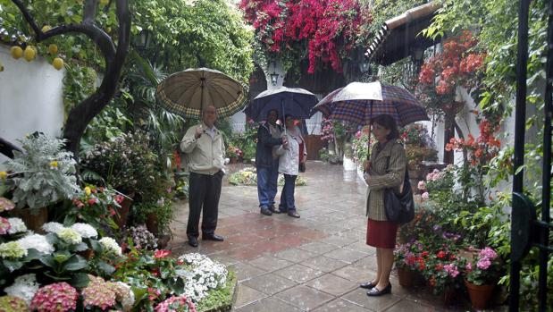 Turistas con paraguas en una lluviosa edición anterior