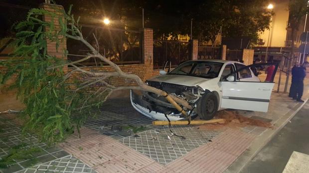 Estado en que quedó el vehículo tras chocar contra un árbol