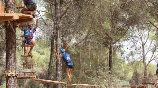 Puentes colgantes en uno de los circuitos de Posadas Aventura