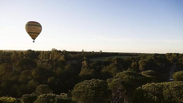 Vista del parque de Doñana