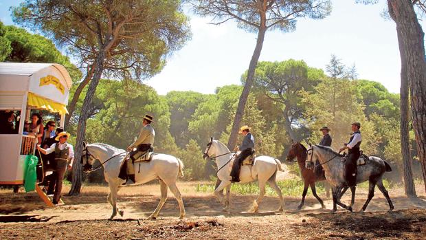 El Rocío busca el equilibrio en el «santuario natural» de Doñana