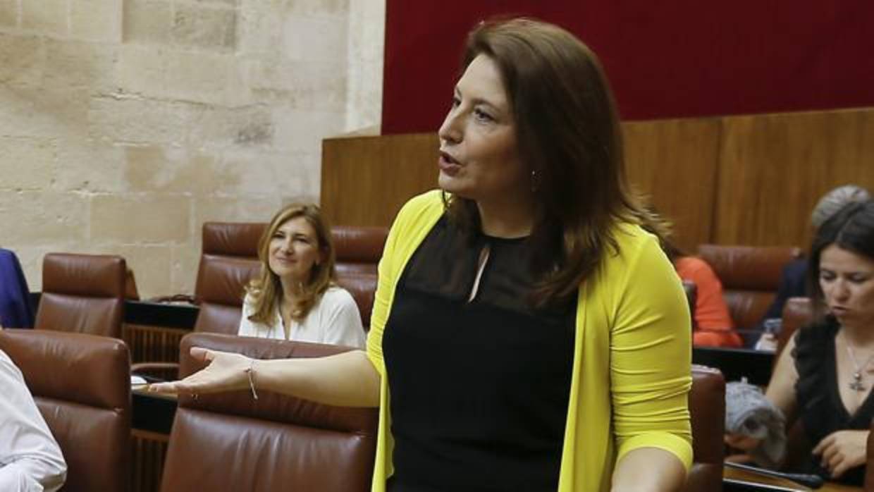 La portavoz del PP-A en el Parlamento de Andalucía, Carmen Crespo