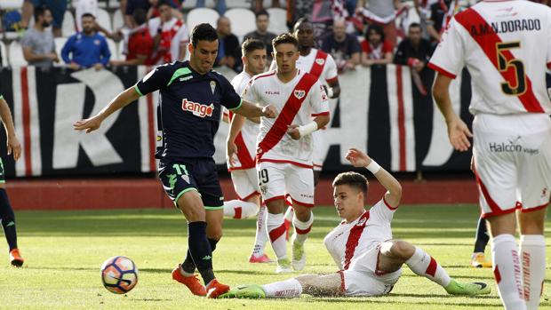 Las notas de los jugadores del Córdoba CF ante el Rayo