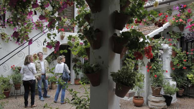 Cerveza Alhambra homenajea a los patios cordobeses