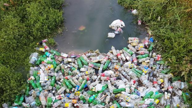 Botellas acumuladas en el cauce del río Guadalquivir