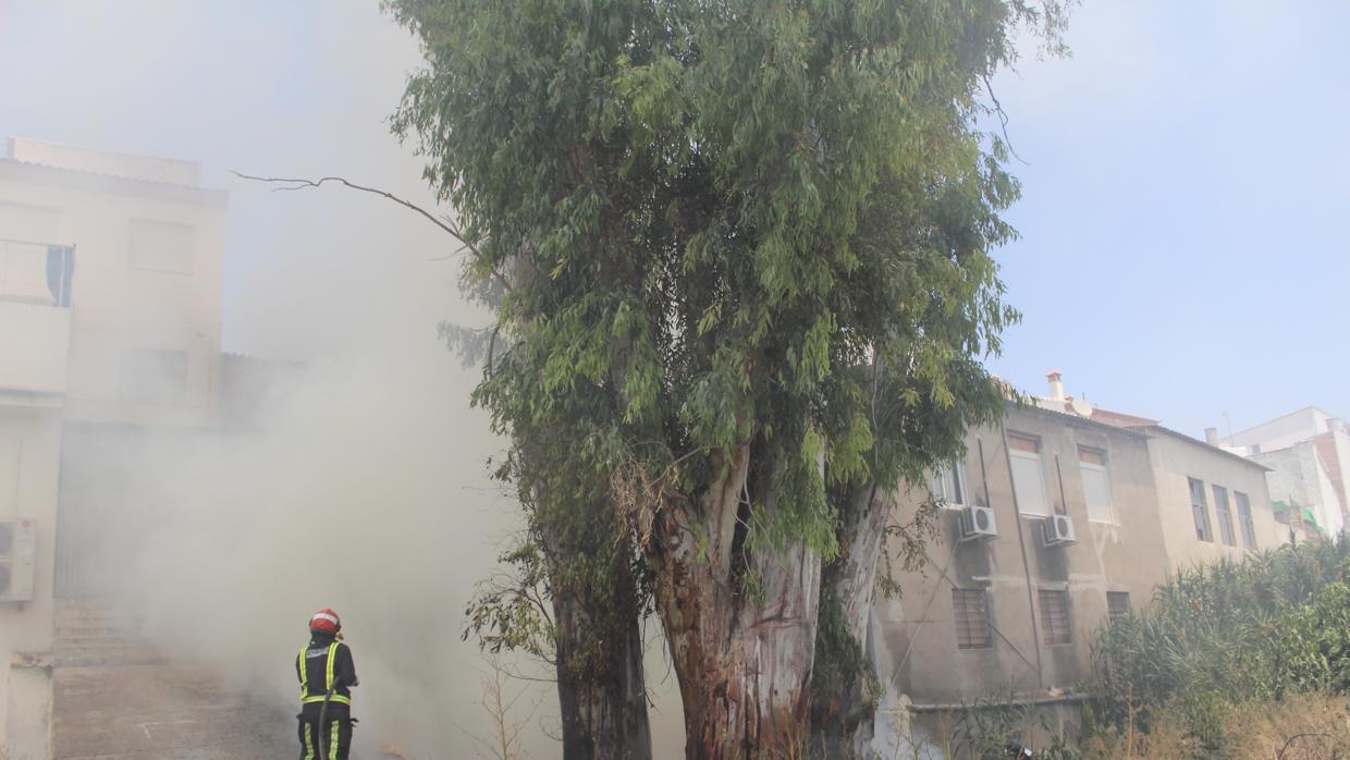 Los bomberos sofocan el fuego declarado en un solar de Baena