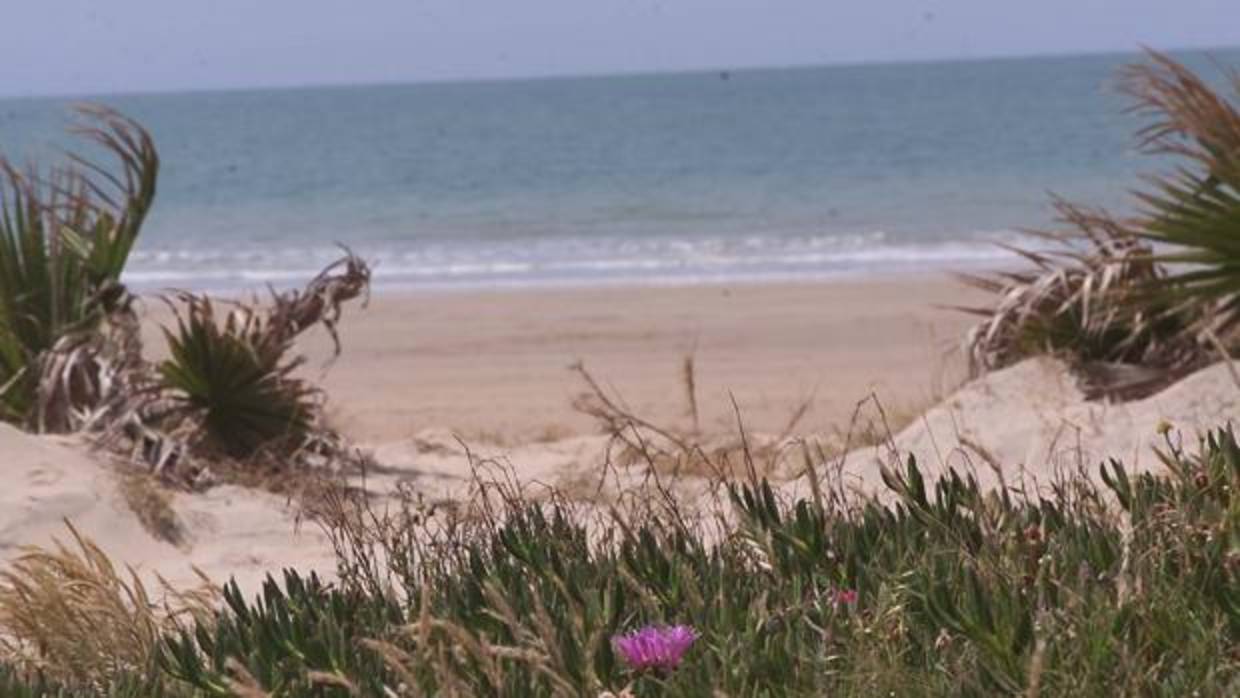 Playa de Rota