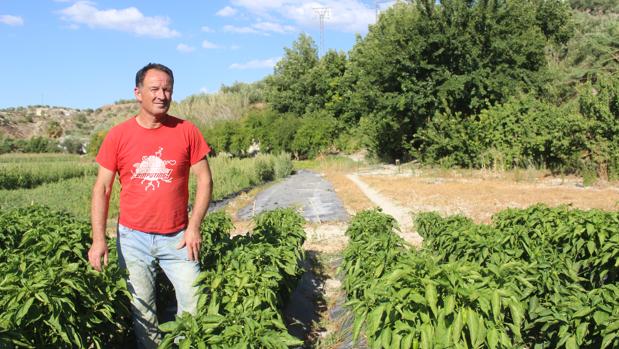 Un nuevo proyecto de regadío enfrenta a los agricultores del río Marbella de Baena