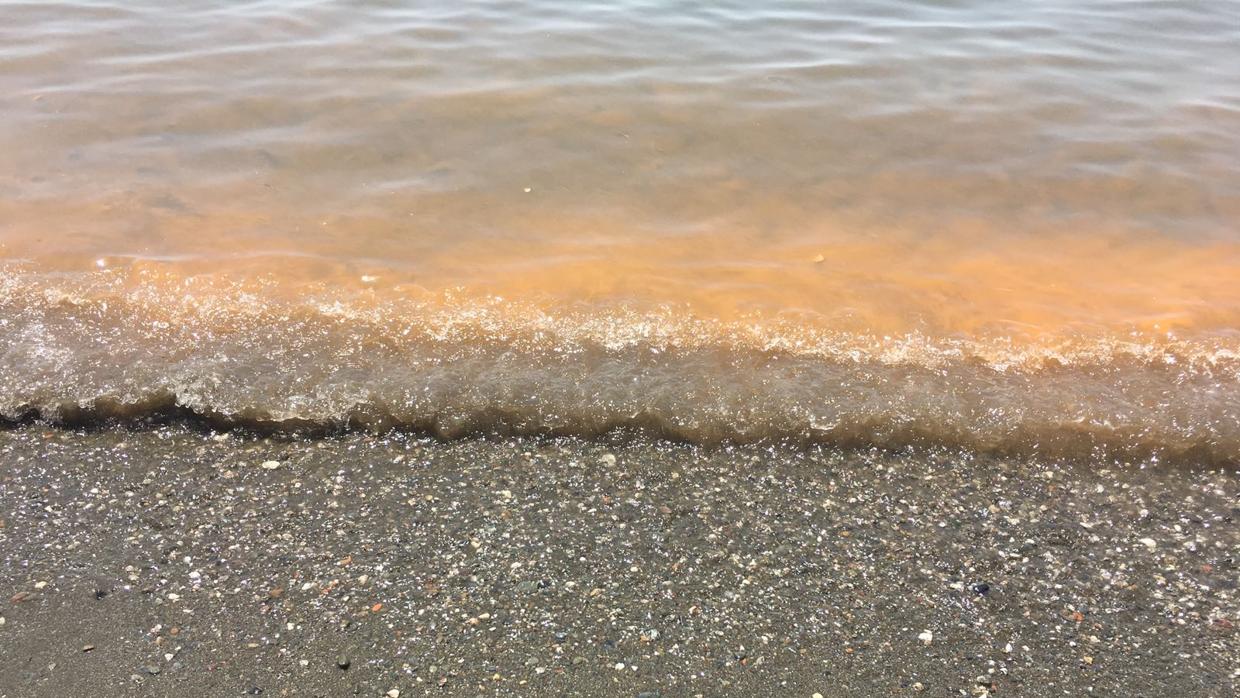 Imagen de las aguas de las playas enviada a ABC por un bañista en la Cala del Moral