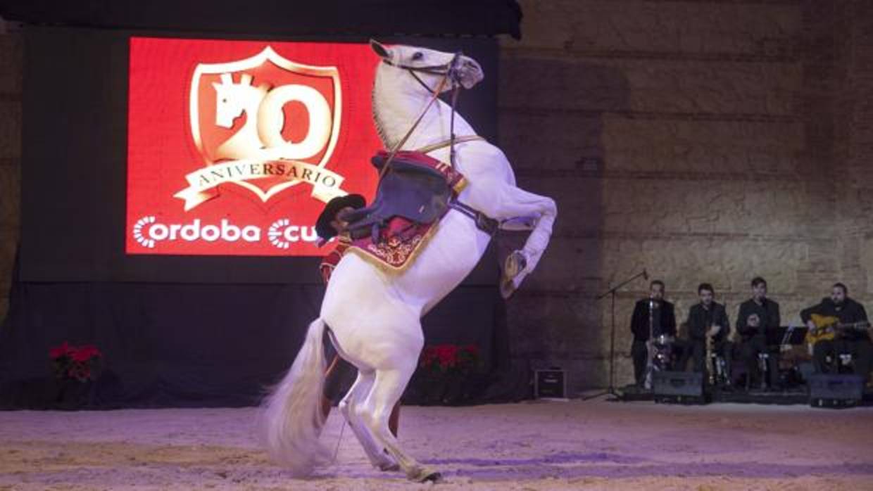 Actividad de Córdoba Ecuestre en Caballerizas