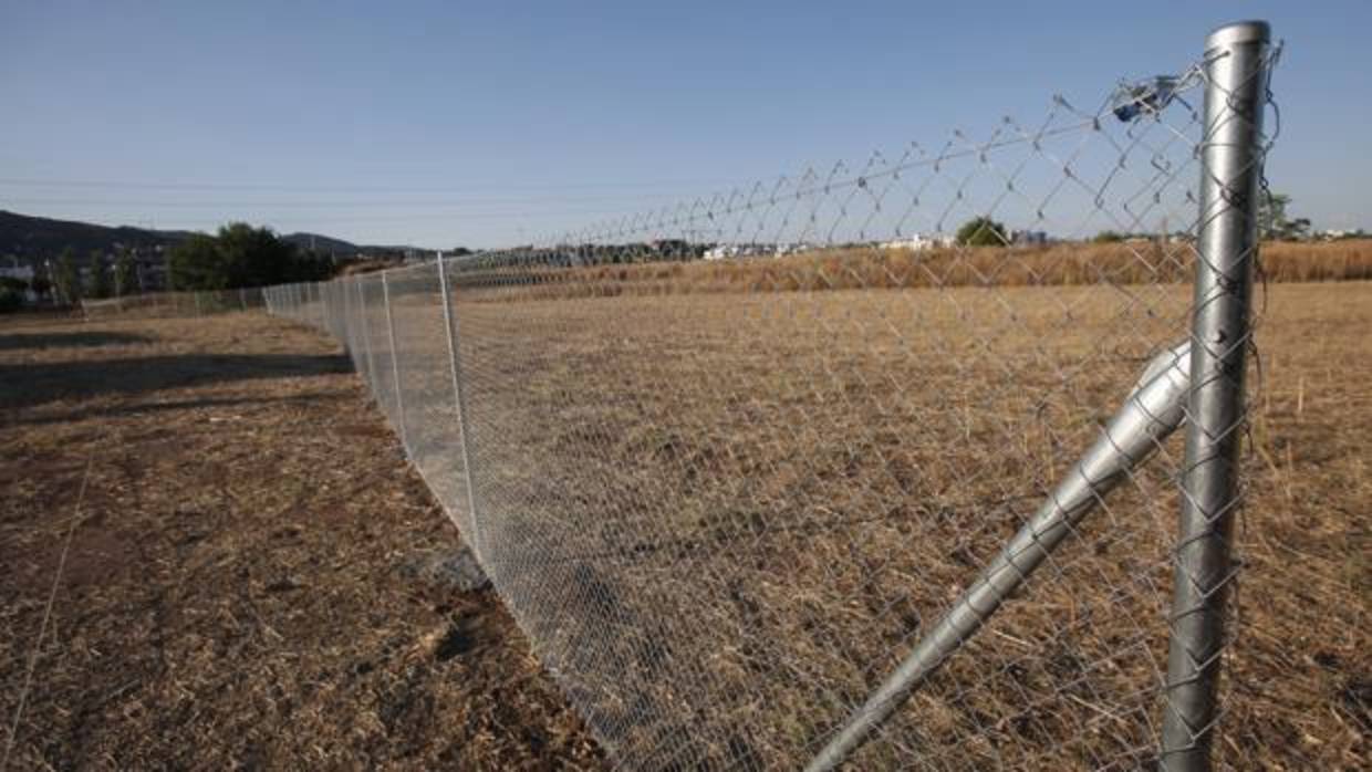 Terrenos que se habían cedido al Córdoba para la Ciudad Deportiva