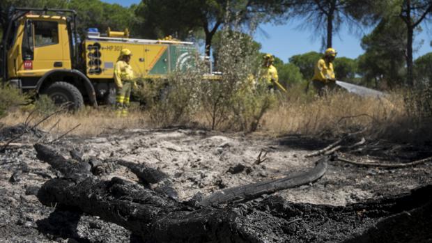 Efectivos del Infoca durante los trabajos de extinción del incendio forestal de Moguer