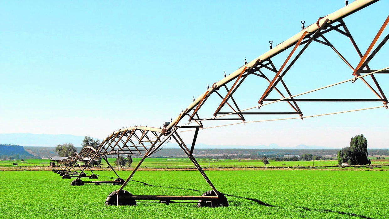 Una máquina de riego trabaja sobre una zona agrícola