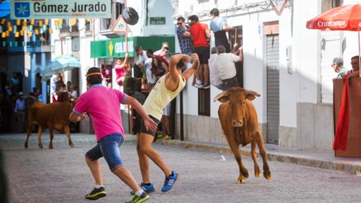 Vaquillas en las fiestas de El Viso