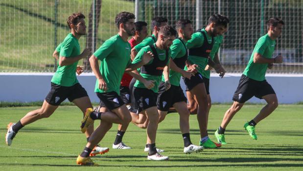 El Betis de Setién, la prueba más importante de la pretemporada del Córdoba CF de Carrión