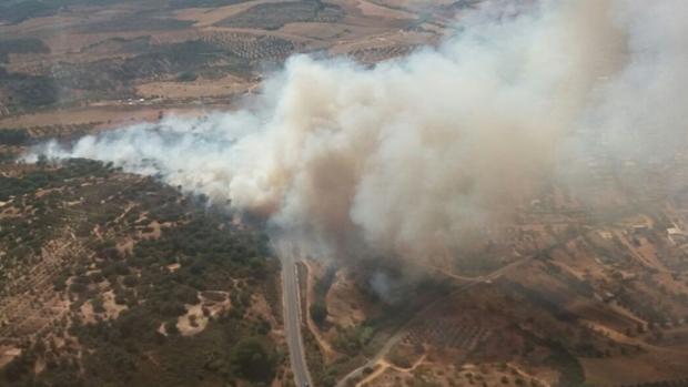 Controlado el incendio forestal en Lucena del Puerto