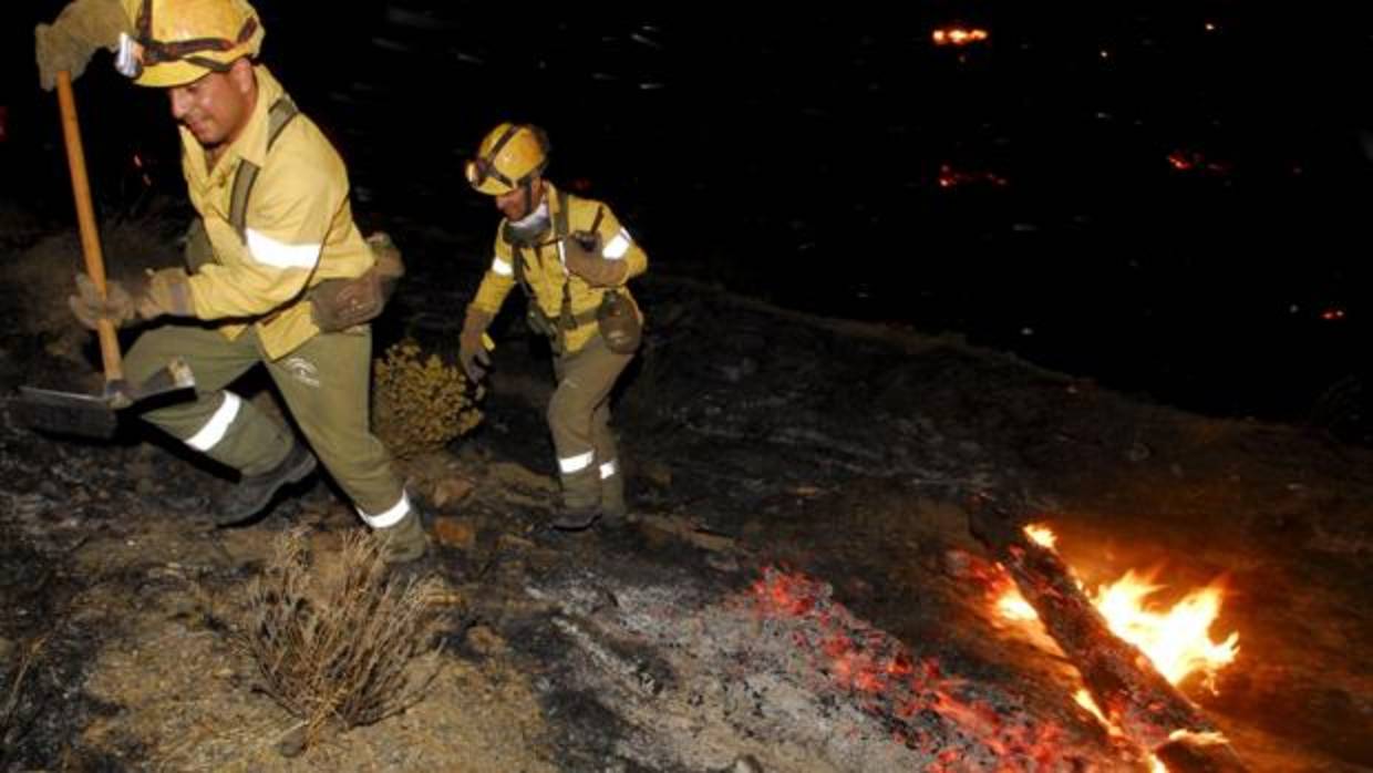 Imagen de bomberos forestales apagando un fuego en Granada