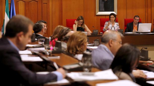 UCOR pide que se pueda hablar ante el Pleno a título individual