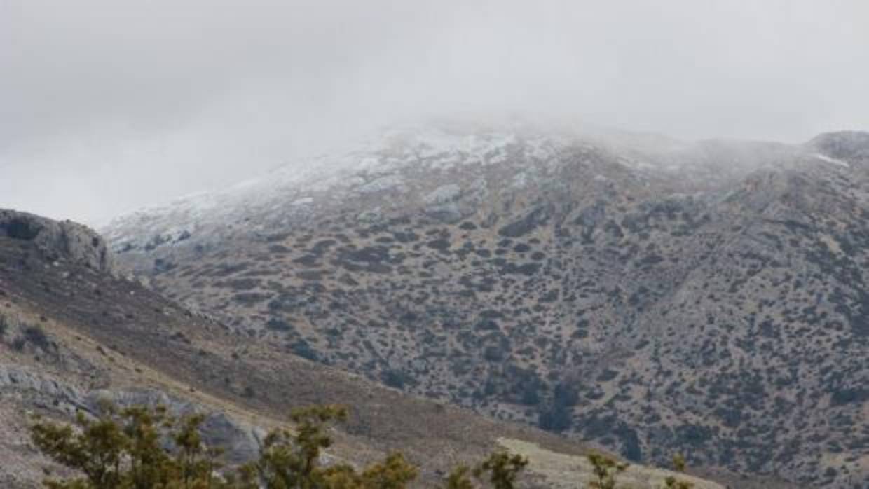 El suceso ha tenido lugar en plena Sierra de Las Nieves