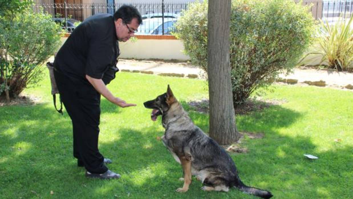 Laika, la perra especialista en explosivos, acogida por un párroco de la Sierra de Ronda