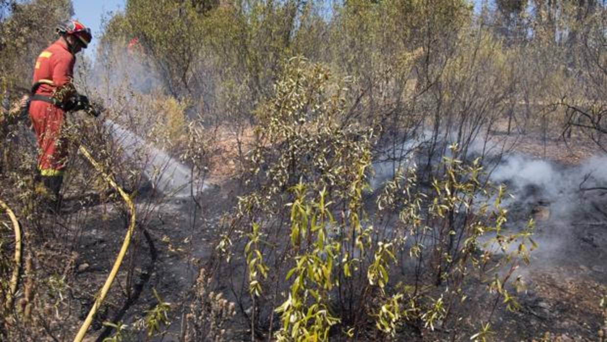 Un bombero del Infoca refresca la zona incendiada