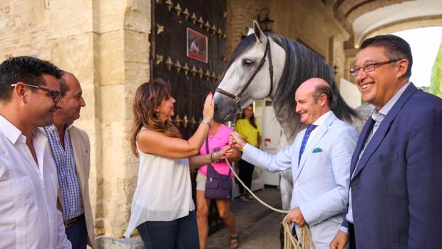 La Feria del Caballo de Córdoba  «Cabalcor» orientará hacia lo empresarial su presente edición