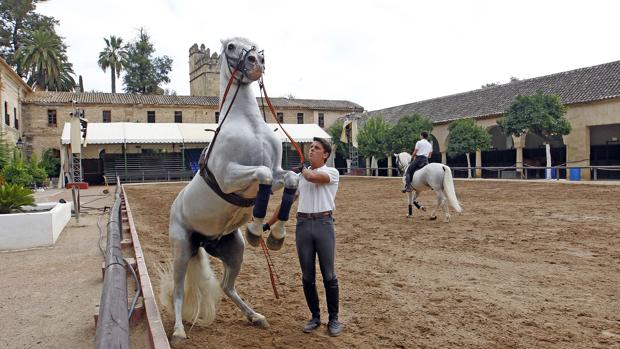 Las Caballerizas Reales de Córdoba, el edificio de referencia del caballo Pura Raza Español