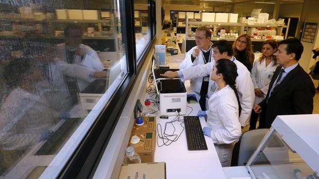 El Hospital Reina Sofía de Córdoba busca pacientes con diabetes para probar una «app» de control