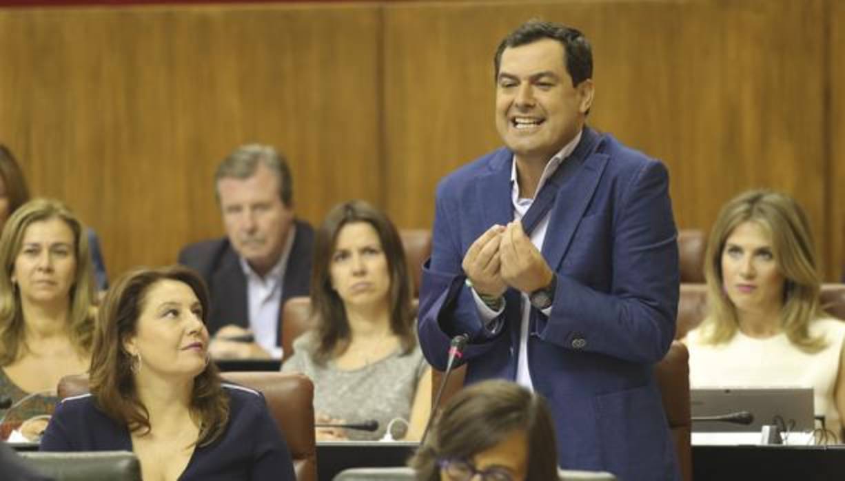 El líder de los populares andaluces, Juanma Moreno, gesticula en el Parlamento