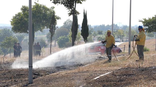 Un incendio en Mirabueno de Córdoba moviliza a los bomberos del SEIS y al Infoca