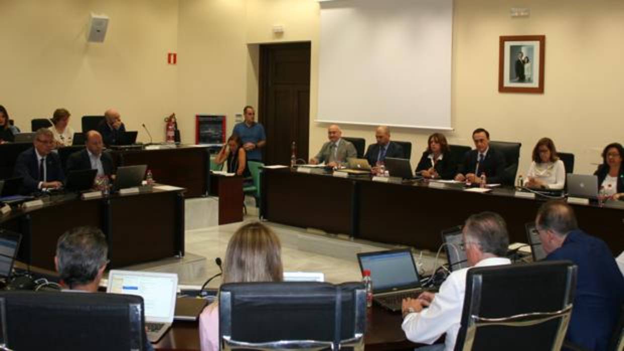 Sesión del consejo de Gobierno de la Universidad de Córdoba