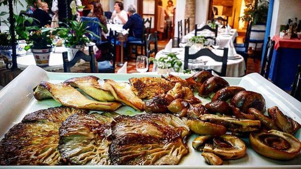 Los imprescindibles de Córdoba para comer setas