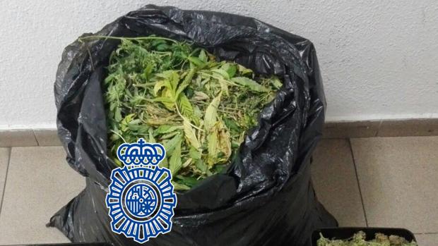 La Policía interviene casi 10 kilos de marihuana en una casa del extrarradio de Córdoba