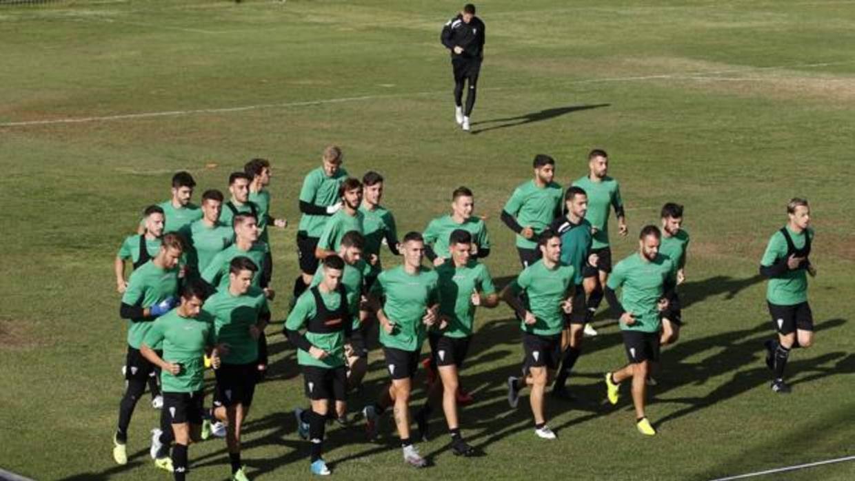 Los jugadores del Córdoba, en un entrenamiento