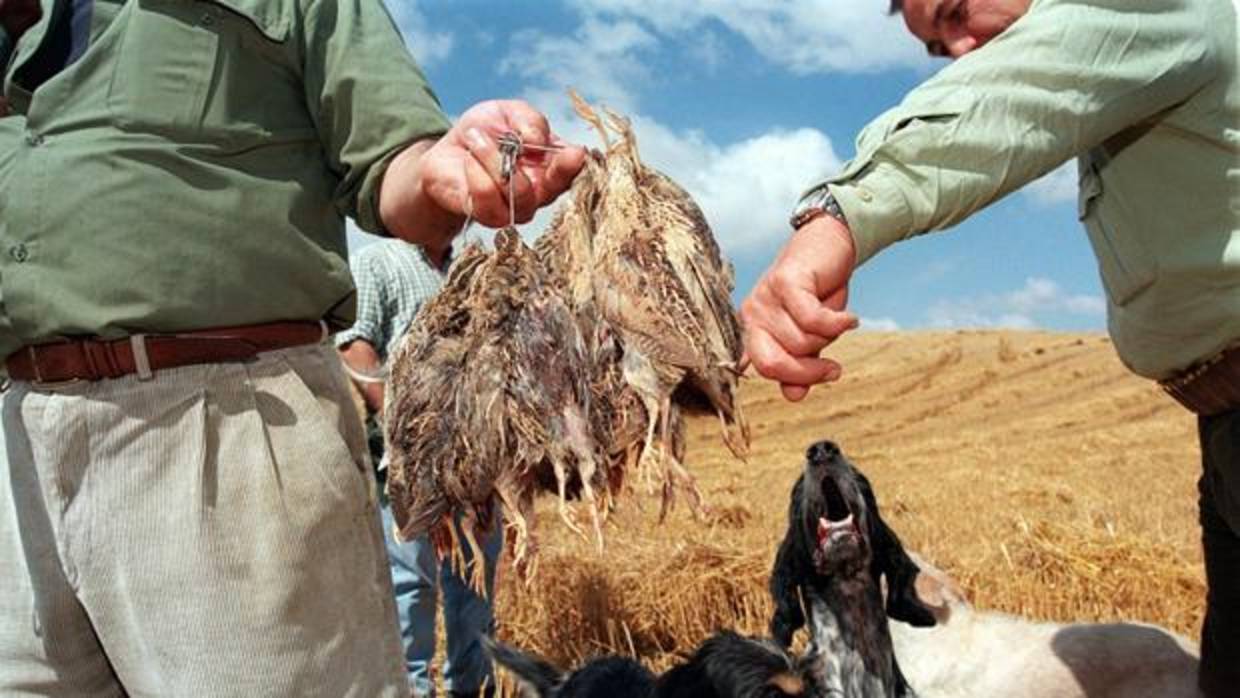 Cazadores con sus perros muestran los trofeos de caza menor