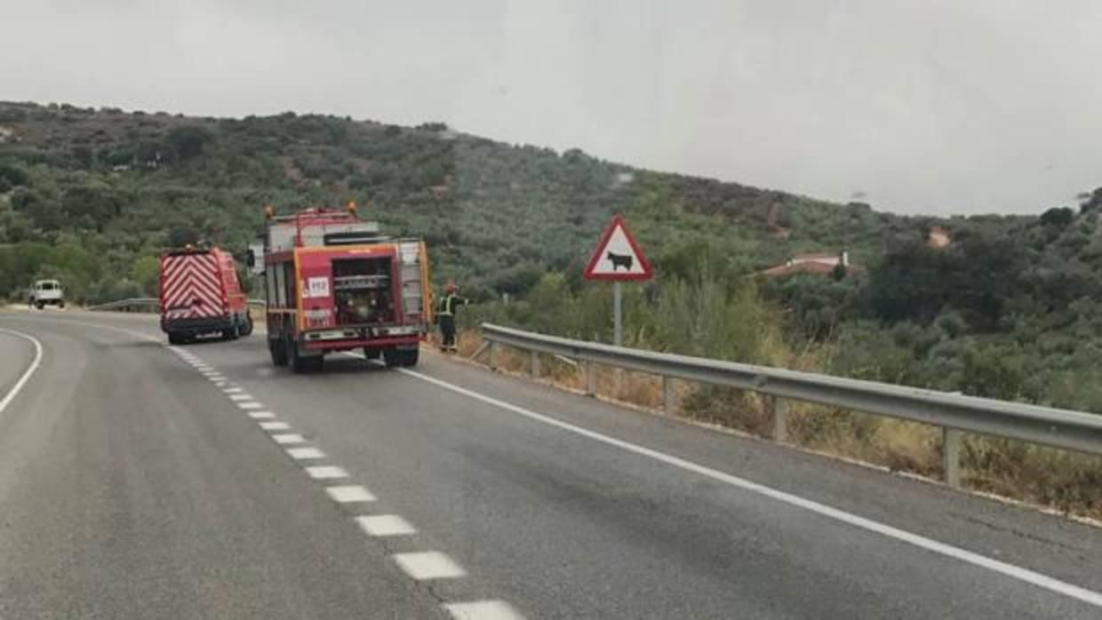 Imagen de una salida de vía en una carretera de la provincia de Córdoba