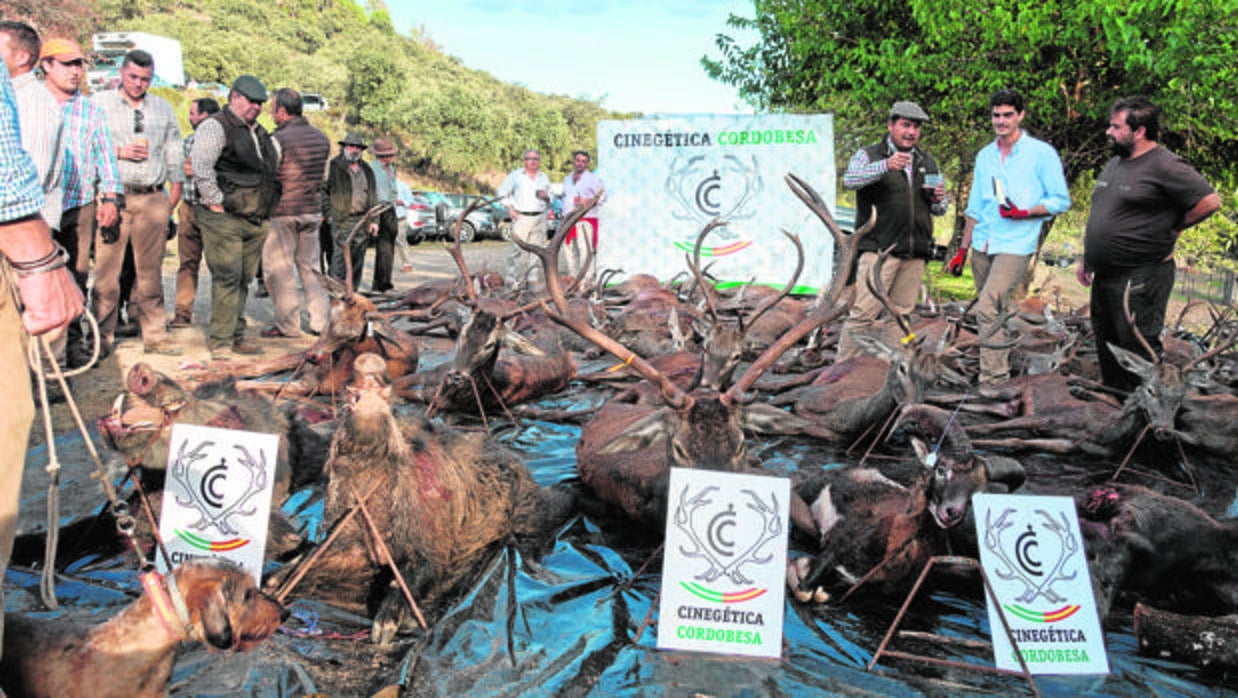 Trofeos logrados en la montería del miércoles